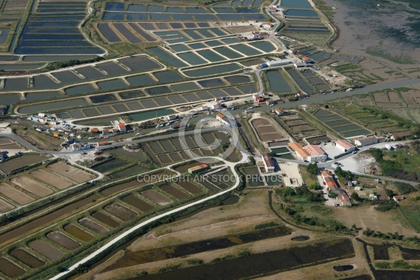 Ostréiculture à Bourcefranc-Le-Chapus , Charente-Maritime 17