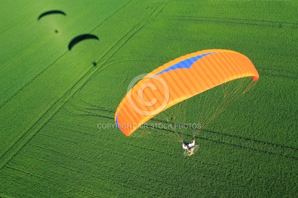 Paramoteur champ de blÃ© vert avec ombre