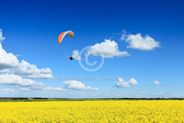 paramoteur champ de colza