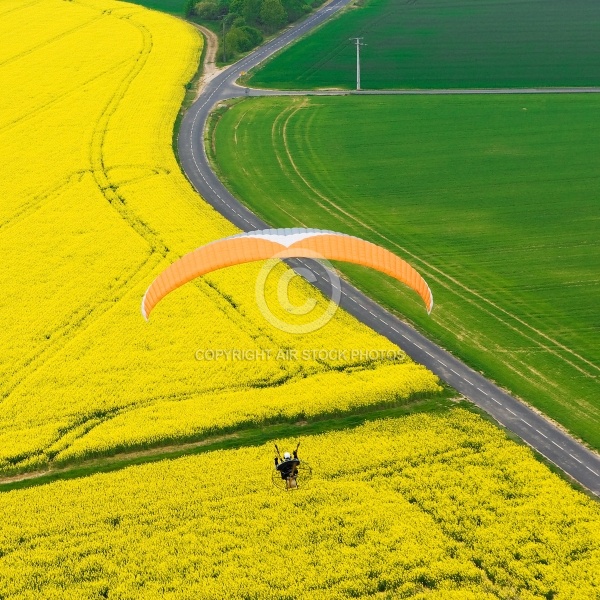 Paramoteur champs de colza