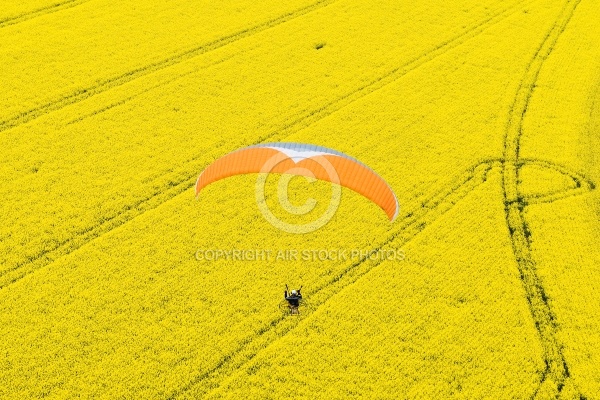 Paramoteur champs de colza