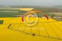 Paramoteur colza