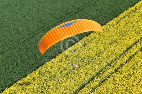 paramoteur dans un champ de colza