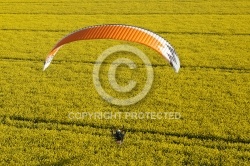 Paramoteur ULM survolant le colza Paramoteur ULM survolant le colza