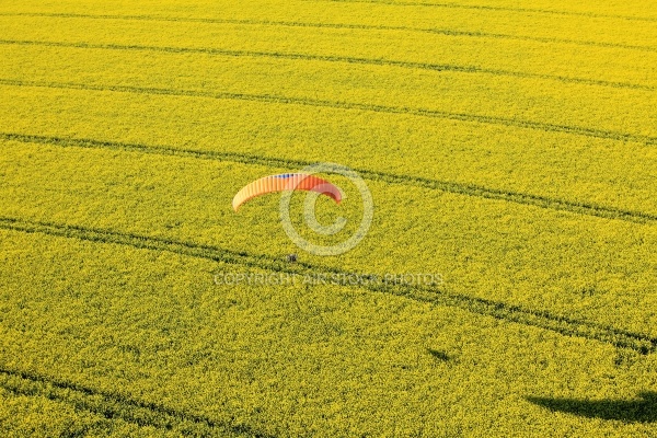 parapente champ de colza