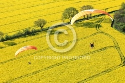 parapente colza