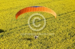 parapente motorise champ de colza