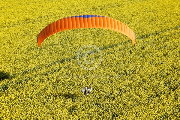 parapente motorise champ de colza