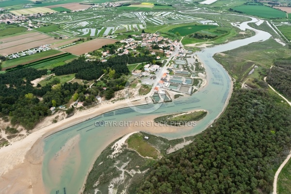 Parc a Huitres Port de Talmont-Saint-Hilaire