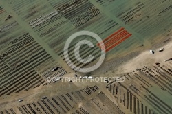 Parcs à huîtres Pointe de la Fumée à Fouras