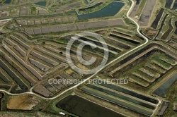 Parcs à huitres de l île d Oléron