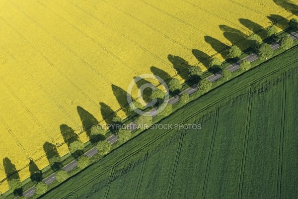 Paysage aÃ©rien et colza en Eure-et-Loire