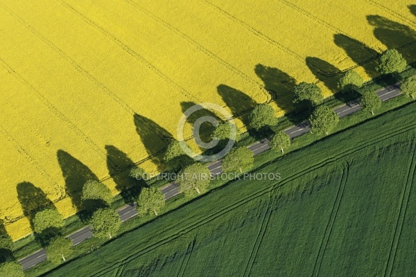 Paysage aérien et colza en Eure-et-Loire