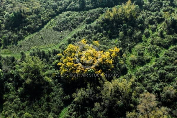 Paysage d automne dans l Allier 03