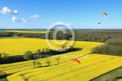 photo aerienne colza Eure et Loire, Region Centre