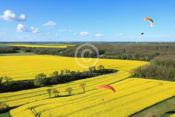 photo aerienne colza Eure et Loire, Region Centre