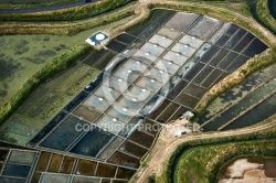 Photo aérienne des Marais Salants de Guérande