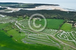 Photo aérienne Marais du Veillon , Vendée