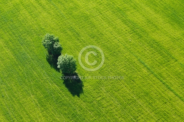 Photo aérienne  Chmieleń Pologne Photo aérienne  Chmieleń Pologne