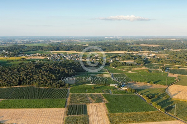 Photo aérienne de Champigny