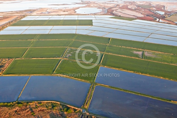 Photo aérienne des marais d Aigues-Mortes 30220, Gard