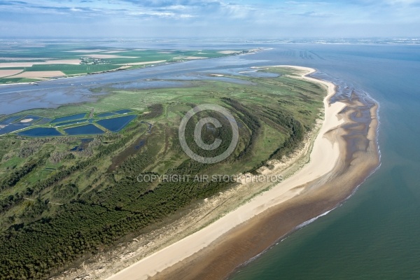 Photo aérienne La Pointe d Arçais La faute-sur-Mer