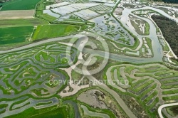 Photo aérienne Marais du Veillon , Vendée