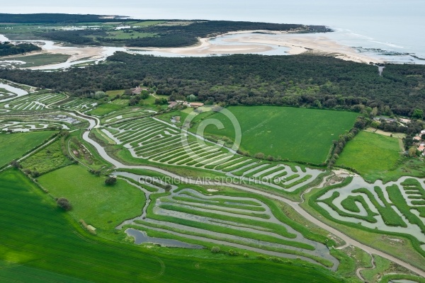 Photo aérienne Marais du Veillon , Vendée