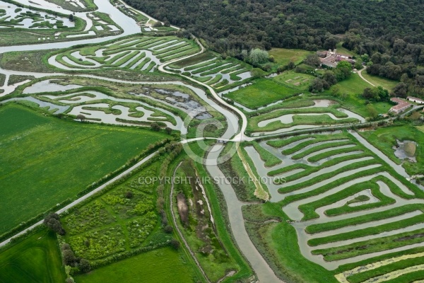 Photo aérienne Marais du Veillon , Vendée