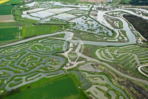 Photo aérienne Marais du Veillon , Vendée