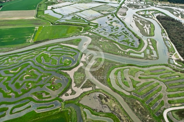 Photo aérienne Marais du Veillon , Vendée