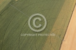 Photo aérienne irrigation en Beauce 45