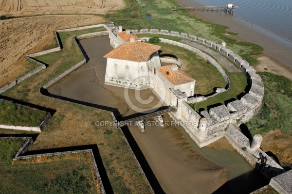 Photographie aérienne de Fort Lupin en Charente-Maritime