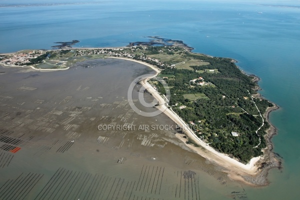 Photographie aérienne de l île d Aix