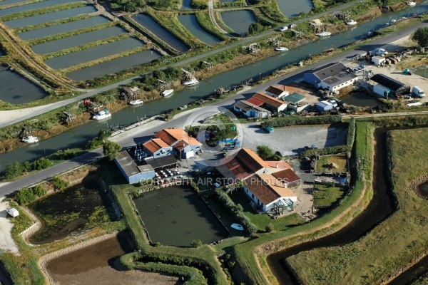 Photographie aérienne du port ostréicole de Marennes