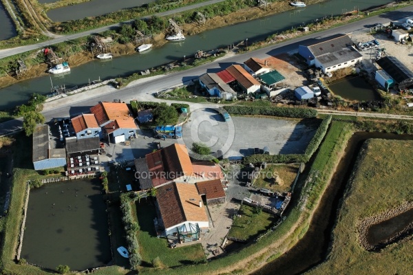 Photographie aérienne du port ostréicole de Marennes