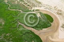 Pied Marais et chenaux en charente Maritime 17