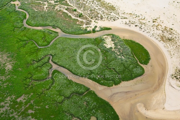 Pied Marais et chenaux en charente Maritime 17