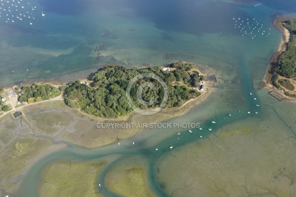 Pointe de Bréhuidic,  Golfe du Morbihan 56