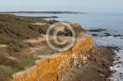 pointe du Payré , Vendée 85