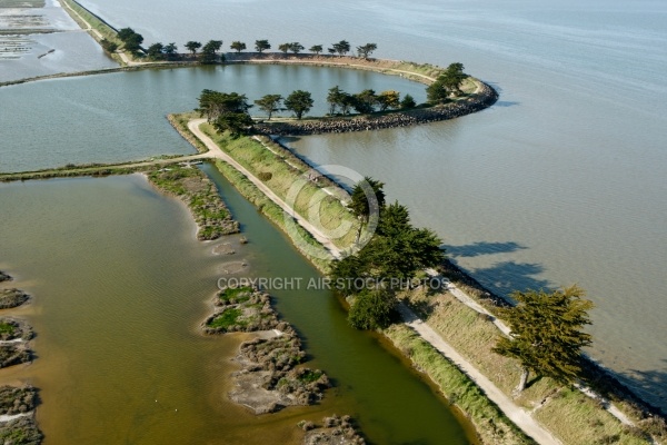 Polder de Sébastopol, Île de Noirmoutier, vendée 85