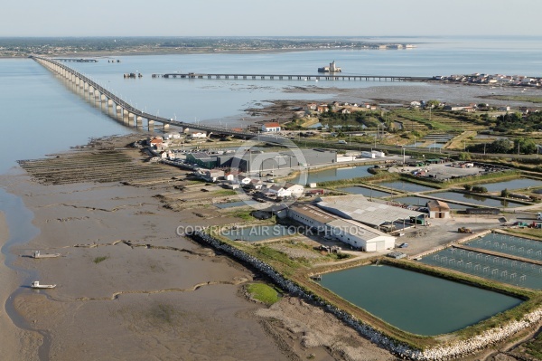 Pont de l île d oléron-Bourcefranc-le-Chapus vue du ciel