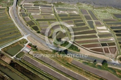 Pont de la Seudre , Marennes vue du ciel