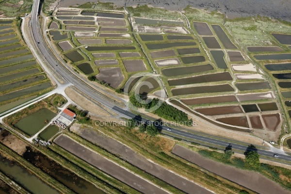 Pont de la Seudre , Marennes vue du ciel