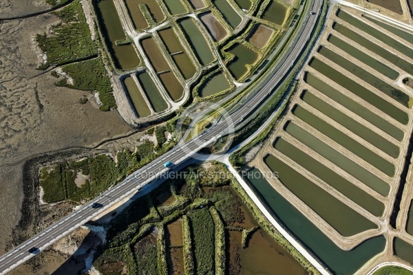 Pont de la Seudre