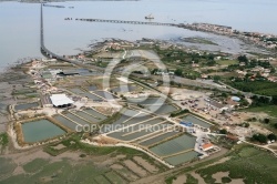 Pont viaduc Marennes - Oléron , Bassin Ostréicole Bourcefranc-le