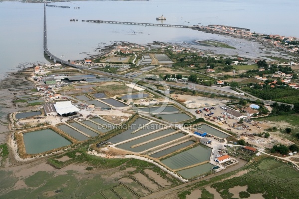 Pont viaduc Marennes - Oléron , Bassin Ostréicole Bourcefranc-le