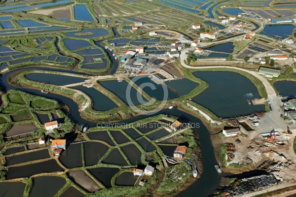 Port et marais ostréicoles de la Tremblade