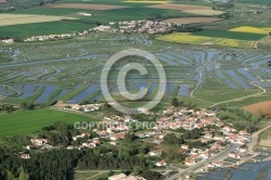 Port ostréicole de la Guittière, Vendée 85