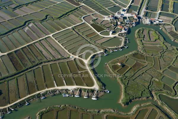 Port ostréicole d Orivol, 17750 Etaules, Pays Royannais